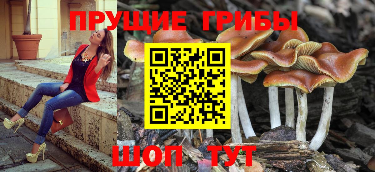 Галлюциногенные грибы мухоморы  Вход с VPN  Кубинка 
